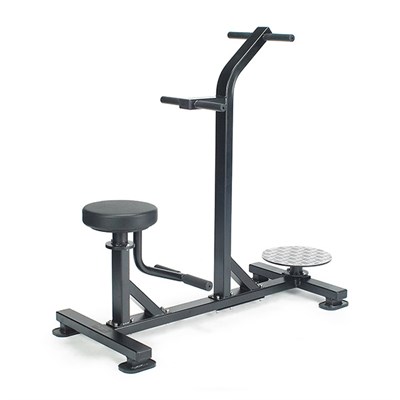 Двойной поворот туловища LF-211 ms26gym_1276