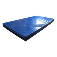 Мат гимнастический (ПВХ 500, без поролона) 1x2x0,1 м ZAVODSPORTA 8de0c4d8-8cad-11e4-8746-50465d064e45-tmzspr