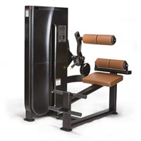 Разгибание спины LS-122 ms26gym_1220