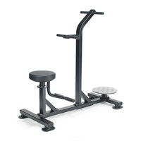 Двойной поворот туловища LF-211 ms26gym_1276