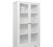 Шкаф-витрина Ева (Хельга) REG2W2S с подсветкой белый BRW70003901-blBRWl