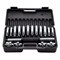 Набор гантелей в кейсе PROFI-FIT 15 кг арт-5ubvk7haf8ee-tmzspr