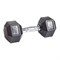 Гантель гексагональная обрезиненная PROFI-FIT 10 кг арт-gffglpyg1wt2-tmzspr