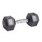 Гантель гексагональная обрезиненная PROFI-FIT  8 кг арт-l1t8gibszgvq-tmzspr