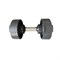 Гантель с регулируемым весом PROFI-FIT 32 кг a9cfafea-8565-11eb-9466-00155d686700-tmzspr