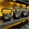 Гиря обрезиненная с хромированной ручкой PROFI-FIT 10 кг арт-3bc6247c-be30-11e4-b2a7-50465d064e45-tmzspr