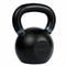 Гиря тренировочная PROFI-FIT 20 кг cc81e10f-254b-11ee-baad-00155d019500-tmzspr
