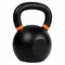 Гиря тренировочная PROFI-FIT 28 кг cc81e113-254b-11ee-baad-00155d019500-tmzspr