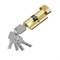 Цилиндр FAB-6.3S 56(28/28) SGold sp2510BR_054-7588